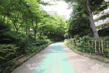 敷地南側の前面道路