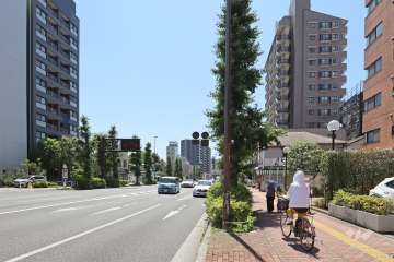 敷地の北東側前面道路（北西側から）