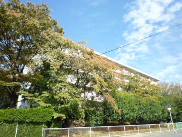 公社千里山田E団地A-1棟の外観（南西側から）