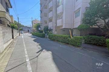 敷地の東側前面道路（北側から）