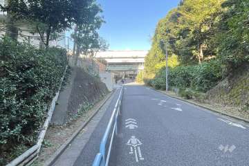 敷地東側の前面道路
