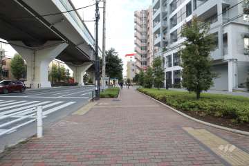 敷地の北側前面道路（西側から）