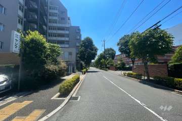 敷地西側の前面道路（北側から）