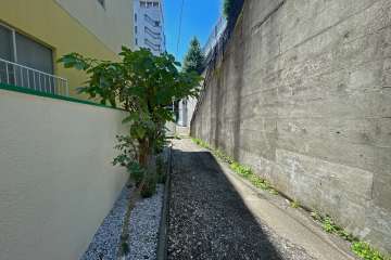 敷地西側の前面道路（北側から）