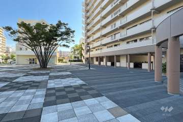 敷地の北側広場（西側から）
