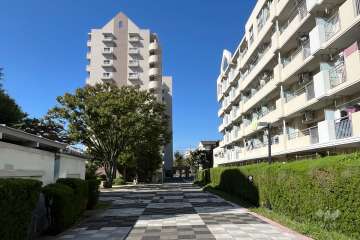 敷地の東側敷地内通路（東側から）