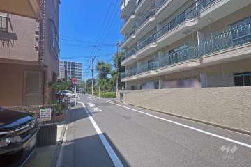 敷地の西側前面道路（南側から）