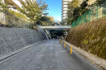 敷地南側の前面道路（西側から）