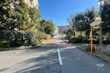 敷地西側の前面道路（北側から）