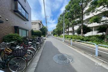 敷地西側の前面道路（北側から）