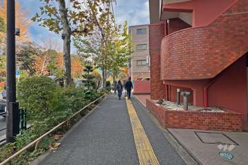 敷地の北西側前面道路は鮫洲大山線です（南西側から）。