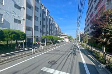 敷地の北側前面道路（東側から）