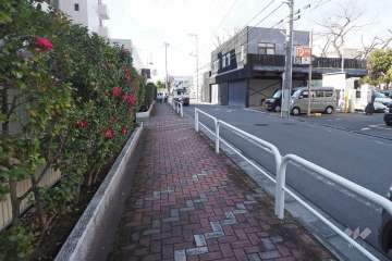 敷地北側の前面道路