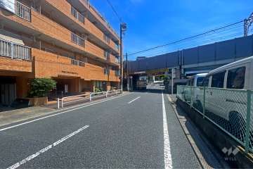 敷地の西側前面道路（北側から）