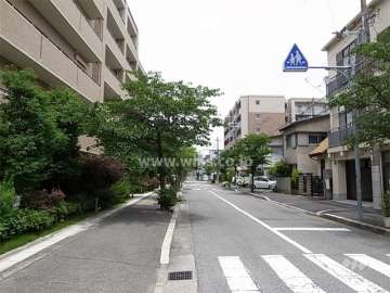 敷地の東側の通り。街路樹がきれいです。