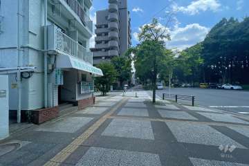 敷地の西側前面道路（北側から）