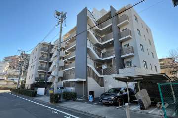 アデニウム志村ブルームフォート