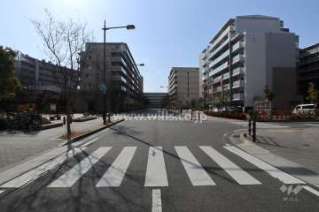 敷地西側の前面道路（北側から）