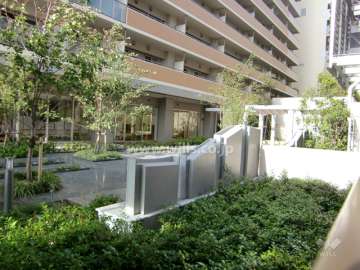 敷地内に緑豊かな中庭があります。