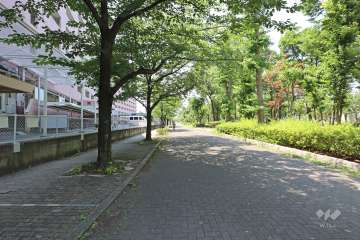 敷地北側の前面道路（東側から）