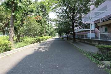 敷地北側の前面道路（西側から）