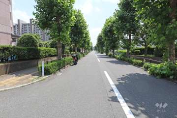 敷地西側の前面道路（北側から）