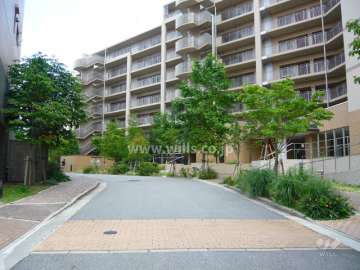 前面道路。街路樹がきれいです。