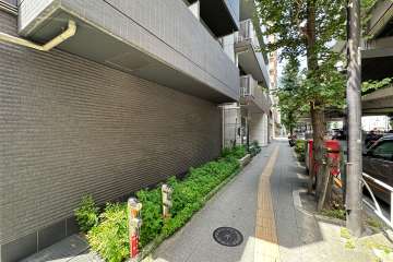 敷地の東側前面道路（南側から）