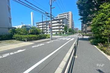 敷地の西側前面道路（南側から）
