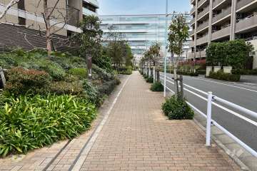 敷地の東側前面道路（南側から）