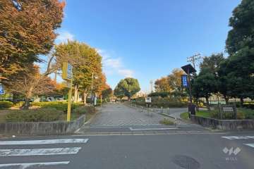 敷地に隣接した浮間公園