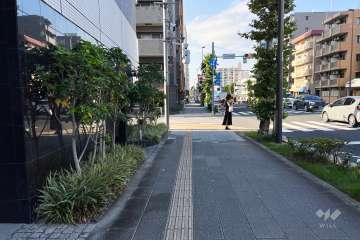 敷地の南東側前面道路（南西側から）