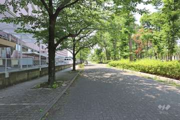 敷地の北側前面道路（東側から）