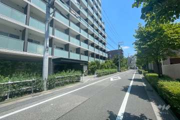 敷地南側の前面道路（西側から）