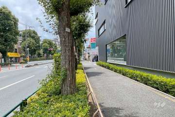 敷地南東側の前面道路（北東側から）