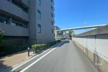 敷地北側の前面道路　