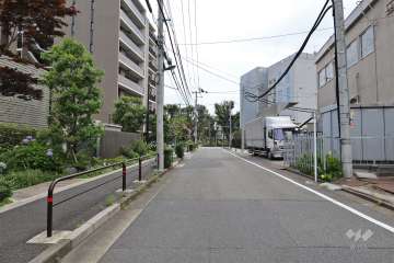 敷地西側の前面道路（北側から）