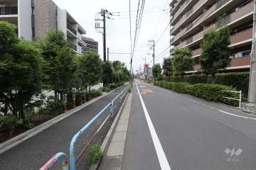 敷地北側の前面道路（東側から）