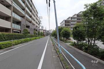 敷地北側の前面道路（西側から）