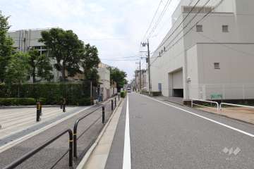 敷地西側の前面道路（北側から）