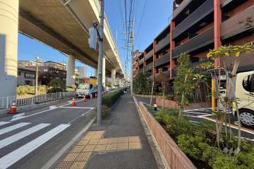 敷地北側の前面道路（西側から）