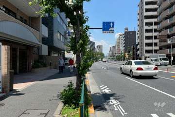 敷地の東側前面道路（南側から）