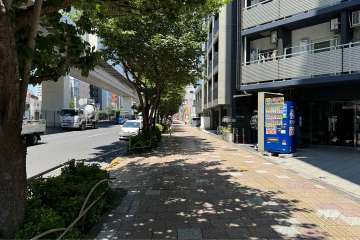 敷地の南西側前面道路（南東側から）