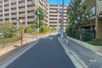 敷地西側の前面道路　