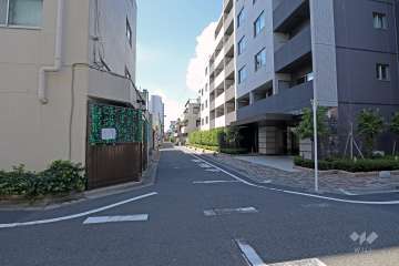 敷地の北東側前面道路（南東側から）