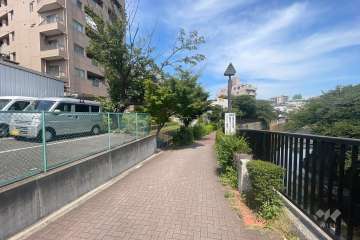 敷地南側の前面道路（西側から）