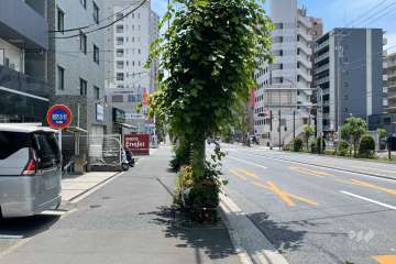 敷地北西側の前面道路（北東側から）