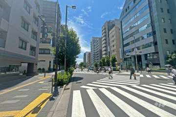 敷地の西側前面道路（北側から）