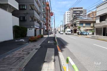 敷地の北東側前面道路（南東側から）