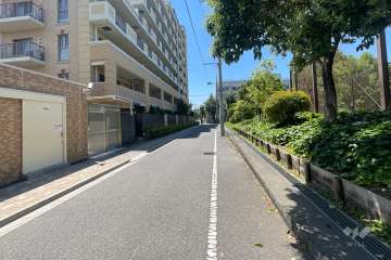 敷地の西側前面道路（北側から）